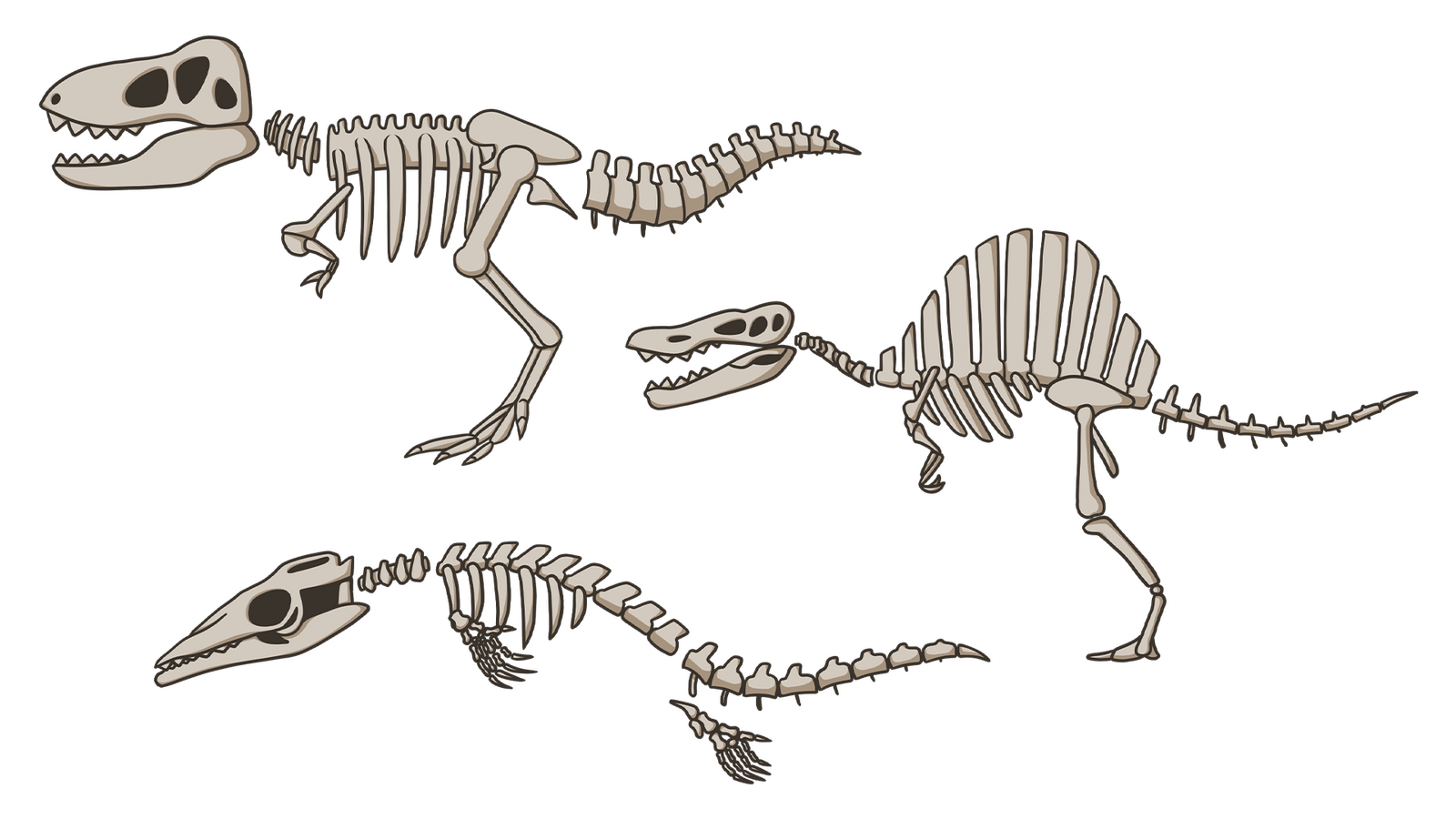Dinosaurs Dinosaurs