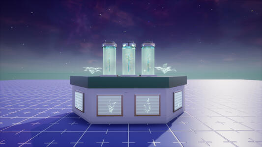 Kelp Research Station