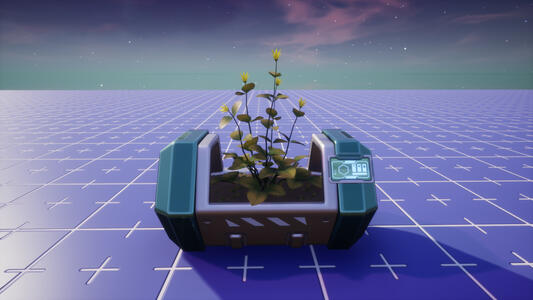 Potted Plant Potted Plant
