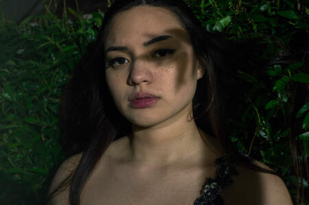Thicket