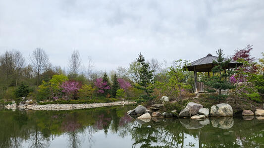 Serenity Serenity